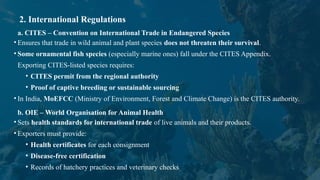 marketing STRATEGIES OF ORNAMENTAL FISH.pptx