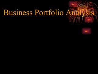 Business Portfolio Analysis 