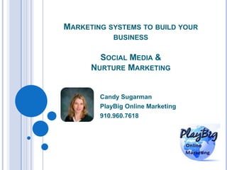 Marketing systems to build your businessSocial Media &Nurture Marketing Candy Sugarman  PlayBig Online Marketing 910.960.7618 