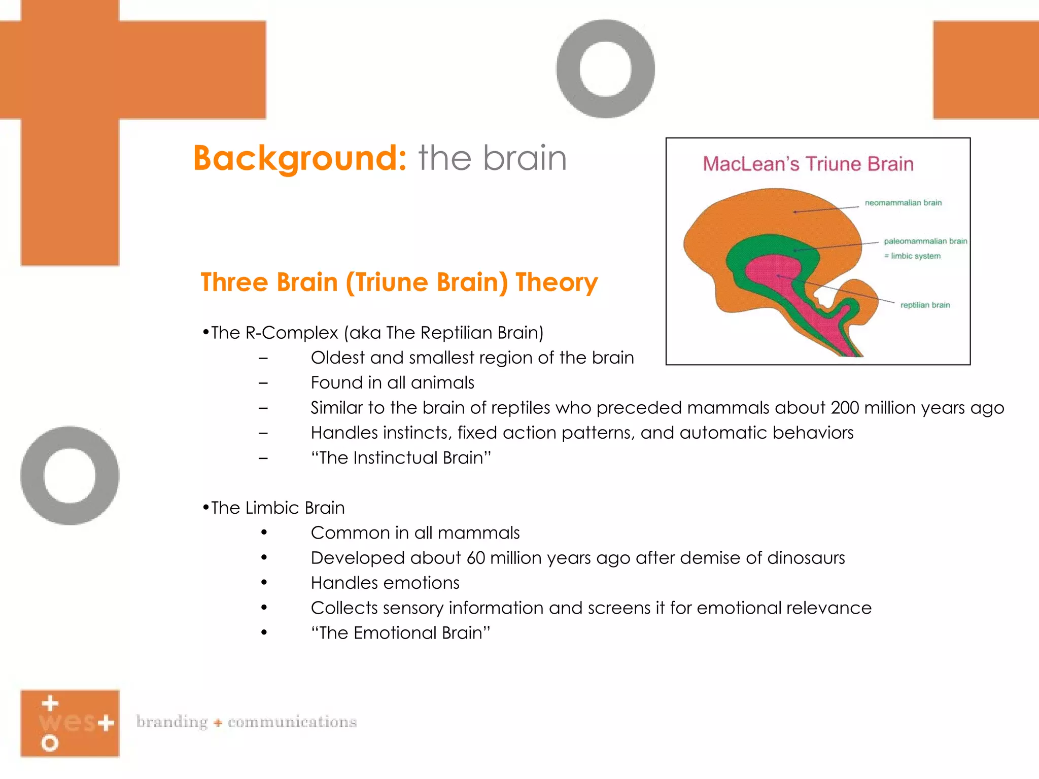 Background:  the brain Three Brain (Triune Brain) Theory The R-Complex (aka The Reptilian Brain) Oldest and smallest region of the brain Found in all animals Similar to the brain of reptiles who preceded mammals about 200 million years ago Handles instincts, fixed action patterns, and automatic behaviors “ The Instinctual Brain” The Limbic Brain Common in all mammals Developed about 60 million years ago after demise of dinosaurs Handles emotions Collects sensory information and screens it for emotional relevance “ The Emotional Brain” 