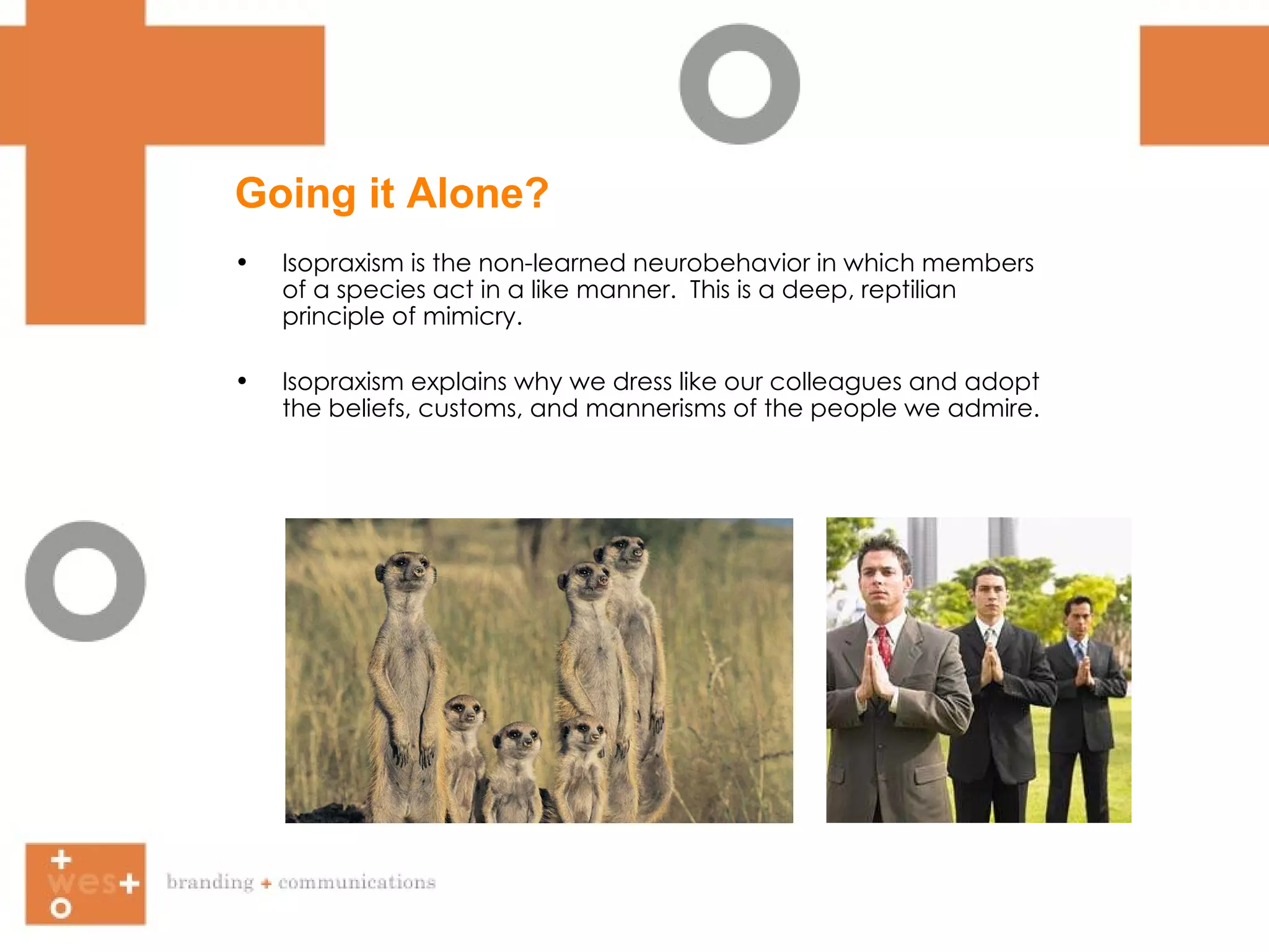 Isopraxism is the non-learned neurobehavior in which members of a species act in a like manner.  This is a deep, reptilian principle of mimicry.  Isopraxism explains why we dress like our colleagues and adopt the beliefs, customs, and mannerisms of the people we admire.   Going it Alone? 