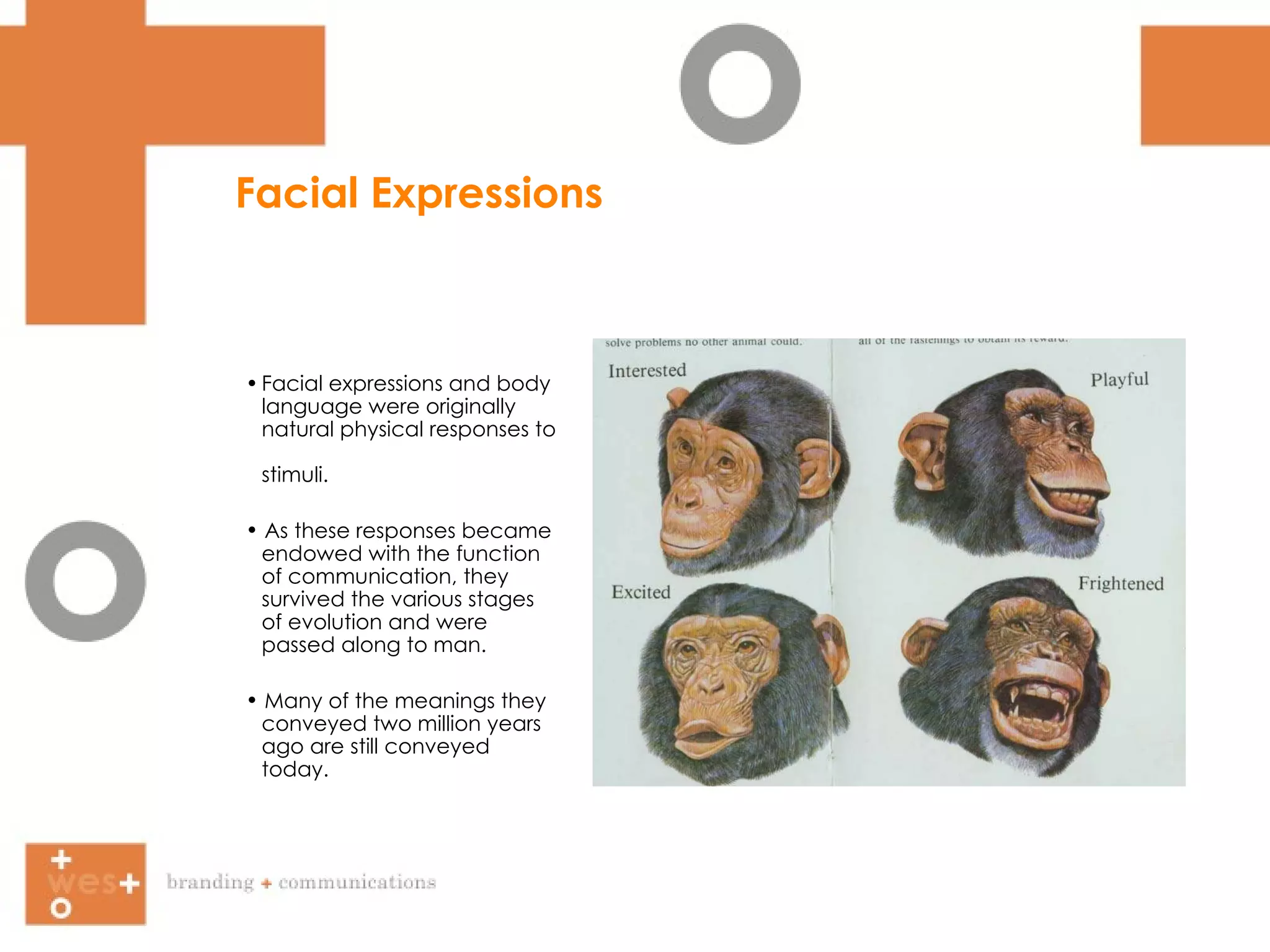 Facial Expressions • Facial expressions and body  language were originally  natural physical responses to  stimuli. As these responses became  endowed with the function  of communication, they  survived the various stages  of evolution and were  passed along to man. Many of the meanings they  conveyed two million years  ago are still conveyed  today. 