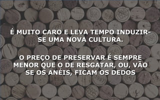 É MUITO CARO E LEVA TEMPO INDUZIR-É MUITO CARO E LEVA TEMPO INDUZIR-
SE UMA NOVA CULTURA.SE UMA NOVA CULTURA.
O PREÇO DE PRESERVAR É SEMPREO PREÇO DE PRESERVAR É SEMPRE
MENOR QUE O DE RESGATAR, OU, VÃOMENOR QUE O DE RESGATAR, OU, VÃO
SE OS ANÉIS, FICAM OS DEDOSSE OS ANÉIS, FICAM OS DEDOS
 