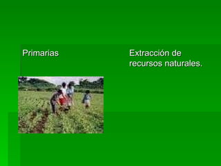 Primarias  Extracción de recursos naturales. 