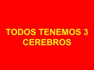 TODOS TENEMOS 3
CEREBROS
 