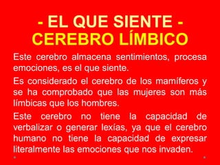 - EL QUE SIENTE -
CEREBRO LÍMBICO
Este cerebro almacena sentimientos, procesa
emociones, es el que siente.
Es considerado el cerebro de los mamíferos y
se ha comprobado que las mujeres son más
límbicas que los hombres.
Este cerebro no tiene la capacidad de
verbalizar o generar lexías, ya que el cerebro
humano no tiene la capacidad de expresar
literalmente las emociones que nos invaden.
 