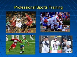 Professional Sports TrainingProfessional Sports Training
 