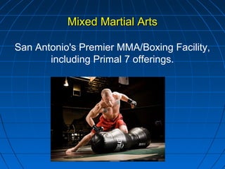 Mixed Martial ArtsMixed Martial Arts
San Antonio's Premier MMA/Boxing Facility,
including Primal 7 offerings.
 