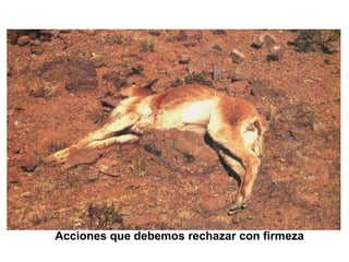 Acciones que debemos rechazar con firmeza
 