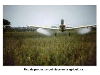 Uso de productos químicos en la agricultura
 