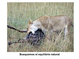 Busquemos el equilibrio natural
 