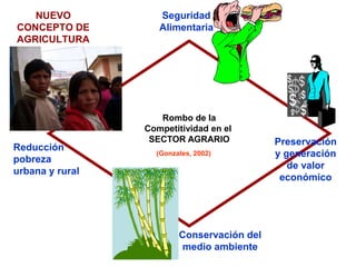 NUEVO
CONCEPTO DE
AGRICULTURA
(Gonzales, 2002)
Rombo de la
Competitividad en el
SECTOR AGRARIO
Seguridad
Alimentaria
Conservación del
medio ambiente
Reducción
pobreza
urbana y rural
Preservación
y generación
de valor
económico
 