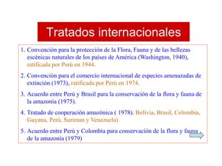 Tratados internacionales
1. Convención para la protección de la Flora, Fauna y de las bellezas
escénicas naturales de los países de América (Washington, 1940),
ratificada por Perú en 1944.
2. Convención para el comercio internacional de especies amenazadas de
extinción (1973), ratificada por Perú en 1974.
3. Acuerdo entre Perú y Brasil para la conservación de la flora y fauna de
la amazonía (1975).
4. Tratado de cooperación amazónica ( 1978). Bolivia, Brasil, Colombia,
Guyana, Perú, Suriman y Venezuela)
5. Acuerdo entre Perú y Colombia para conservación de la flora y fauna
de la amazonía (1979)
 