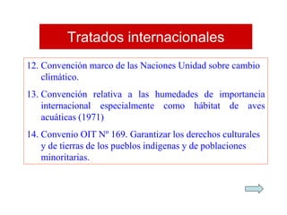Tratados internacionales
12. Convención marco de las Naciones Unidad sobre cambio
climático.
13. Convención relativa a las humedades de importancia
internacional especialmente como hábitat de aves
acuáticas (1971)
14. Convenio OIT Nº 169. Garantizar los derechos culturales
y de tierras de los pueblos indígenas y de poblaciones
minoritarias.
 
