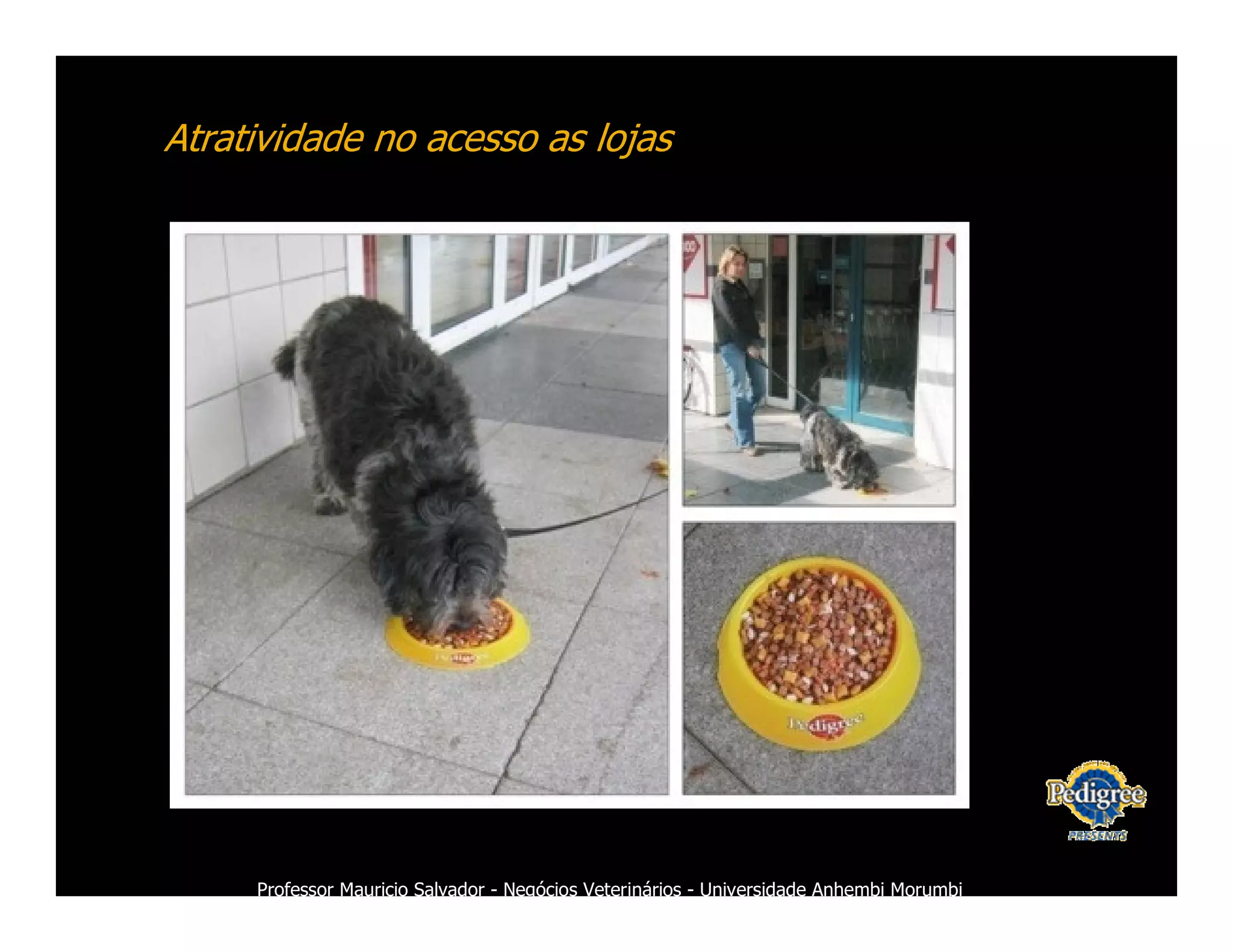 Marketing Veterinario