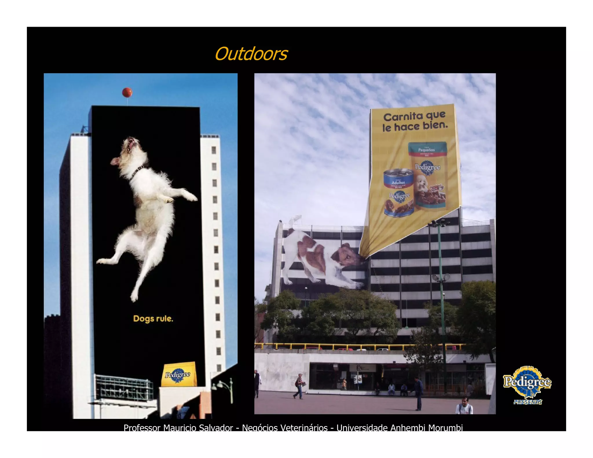 Marketing Veterinario