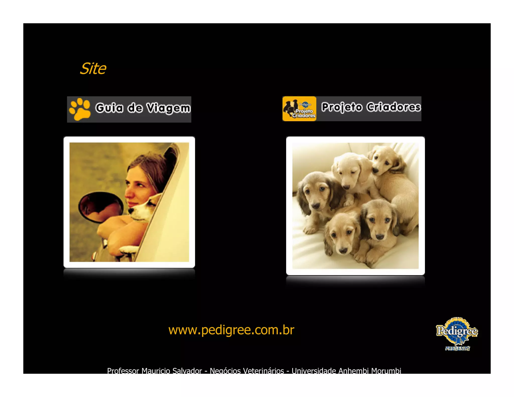 Marketing Veterinario