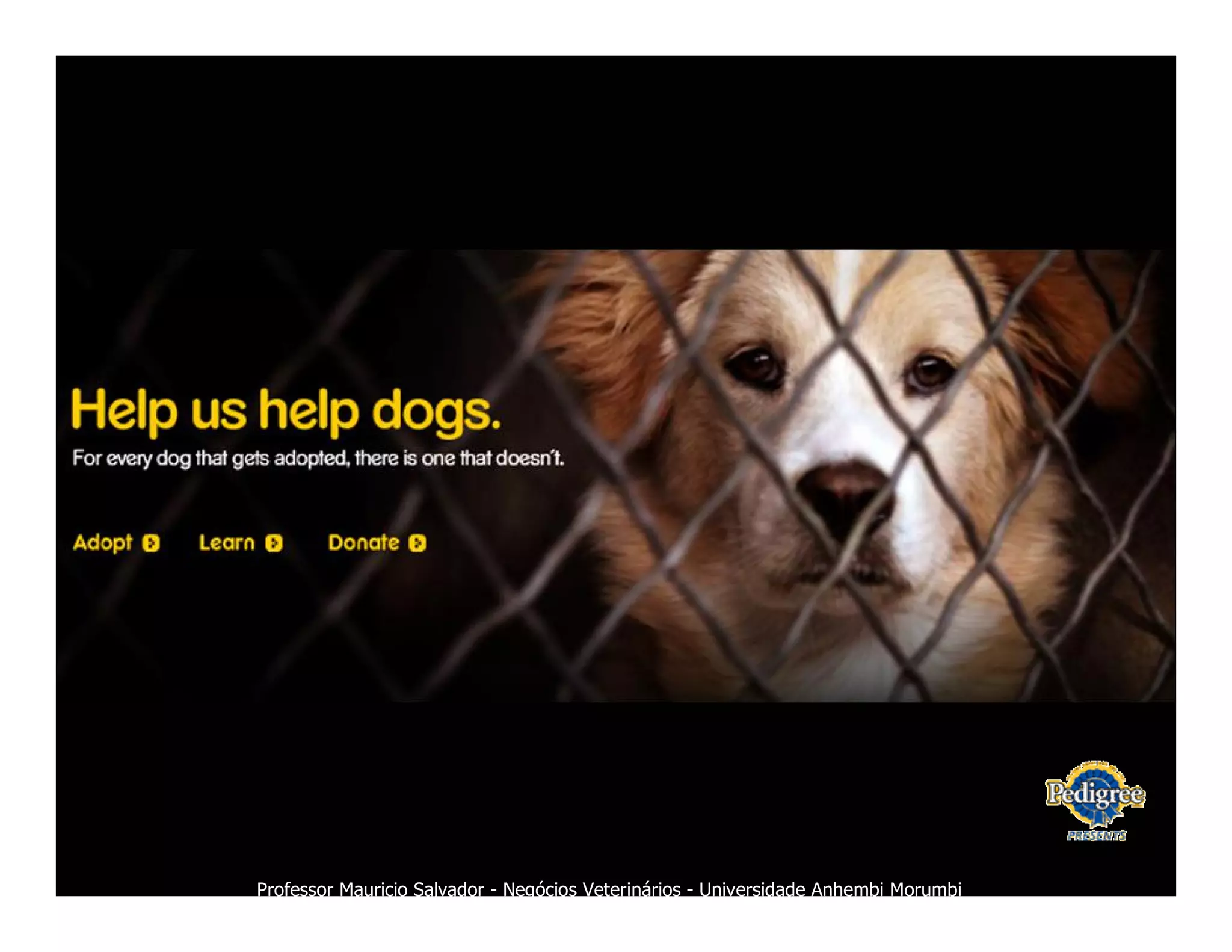 Marketing Veterinario