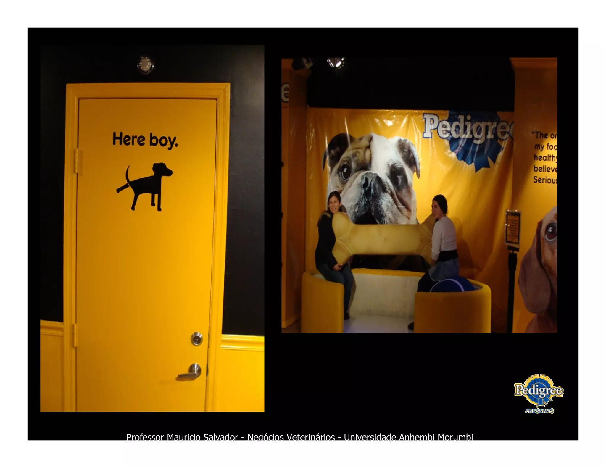 Marketing Veterinario