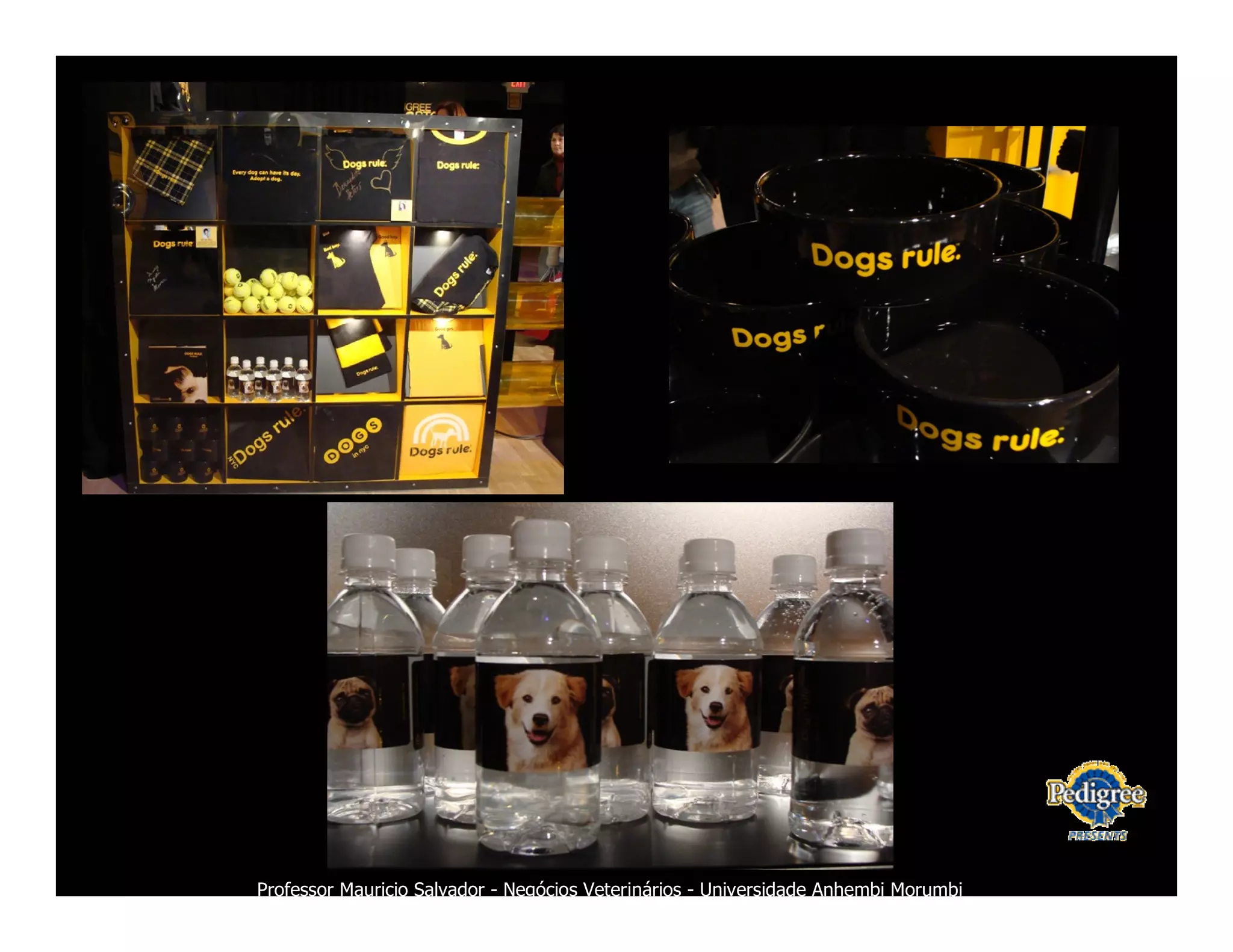 Marketing Veterinario