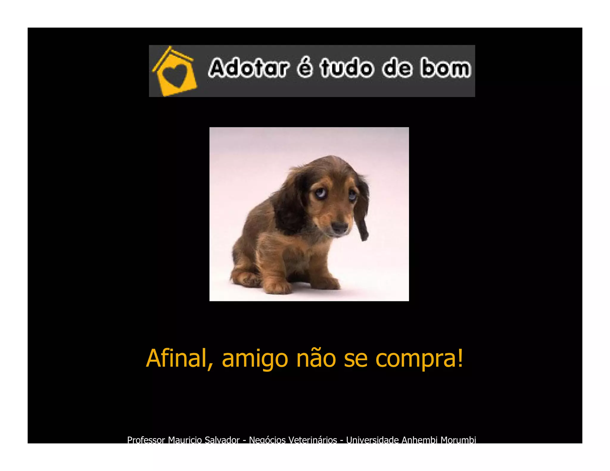 Marketing Veterinario