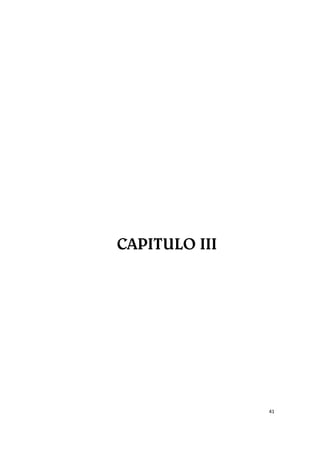 41
CAPITULO III
 