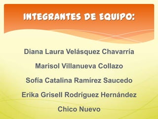 Diana Laura Velásquez Chavarría
Marisol Villanueva Collazo
Sofía Catalina Ramírez Saucedo
Erika Grisell Rodríguez Hernández
Chico Nuevo
Integrantes de Equipo:
 