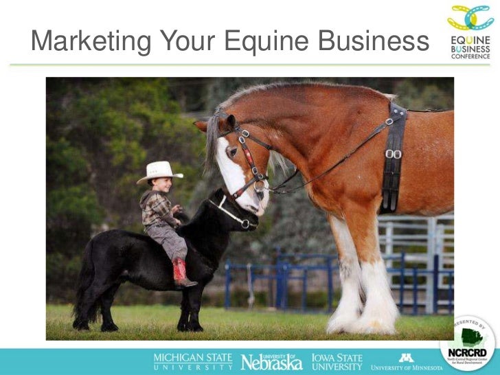 Marketing Your Equine Business