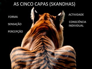  	
  	
  	
  AS	
  CINCO	
  CAPAS	
  (SKANDHAS)	
  
FORMA	
  
	
  
	
  	
  	
  	
  	
  SENSAÇÃO	
  
	
  
	
  	
  	
  	
  	
  	
  	
  PERCEPÇÃO	
  
	
  
ACTIVIDADE	
  
	
  
	
  	
  	
  	
  CONSCIÊNCIA	
  	
  	
  	
  	
  	
  	
  	
  	
  
INDIVIDUAL	
  
	
  
 