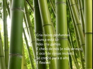  
	
  
	
  
	
  
Cria	
  raízes	
  profundas	
  
Nunca	
  está	
  só	
  
Não	
  cria	
  galhos	
  
É	
  cheio	
  de	
  nós	
  (e	
  não	
  de	
  eus)	
  
É	
  oco	
  (de	
  coisas	
  inúteis)	
  
Só	
  cresce	
  para	
  o	
  alto	
  
É	
  ﬂexível	
  
 