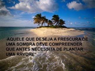  
	
   “AQUELE QUE DESEJA A FRESCURA DE
UMA SOMBRA DEVE COMPREENDER
QUE ANTES NECESSITA DE PLANTAR
UMA ÁRVORE”
	
  
 