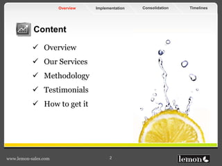 TimelinesConsolidationImplementationOverview
www.lemon-sales.com 2
 Overview
 Our Services
 Methodology
 Testimonials
 How to get it
Content
 