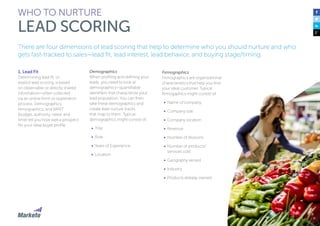The Definitive Guide to Lead Nurturing | PDF