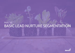 The Definitive Guide to Lead Nurturing