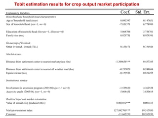 Market orientation and market participation of smallholders in Ethiopia: Implications for commercial transformation