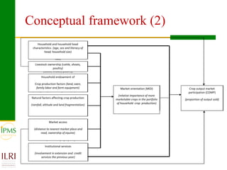 Market orientation and market participation of smallholders in Ethiopia: Implications for commercial transformation