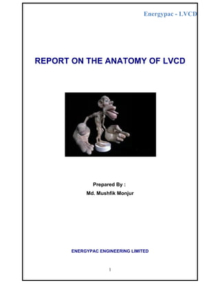 Energypac - LVCD




REPORT ON THE ANATOMY OF LVCD




               Prepared By :
            Md. Mushfik Monjur




       ENERGYPAC ENGINEERING LIMITED



                     1
 