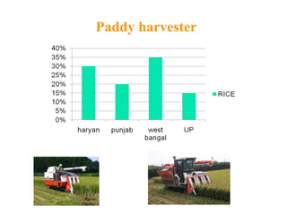 Paddy harvester
 