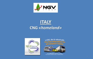 1
ITALY
CNG «homeland»
 