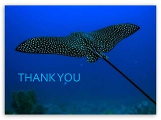 THANKYOU
 