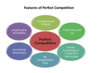 Features of Perfect Competition
 