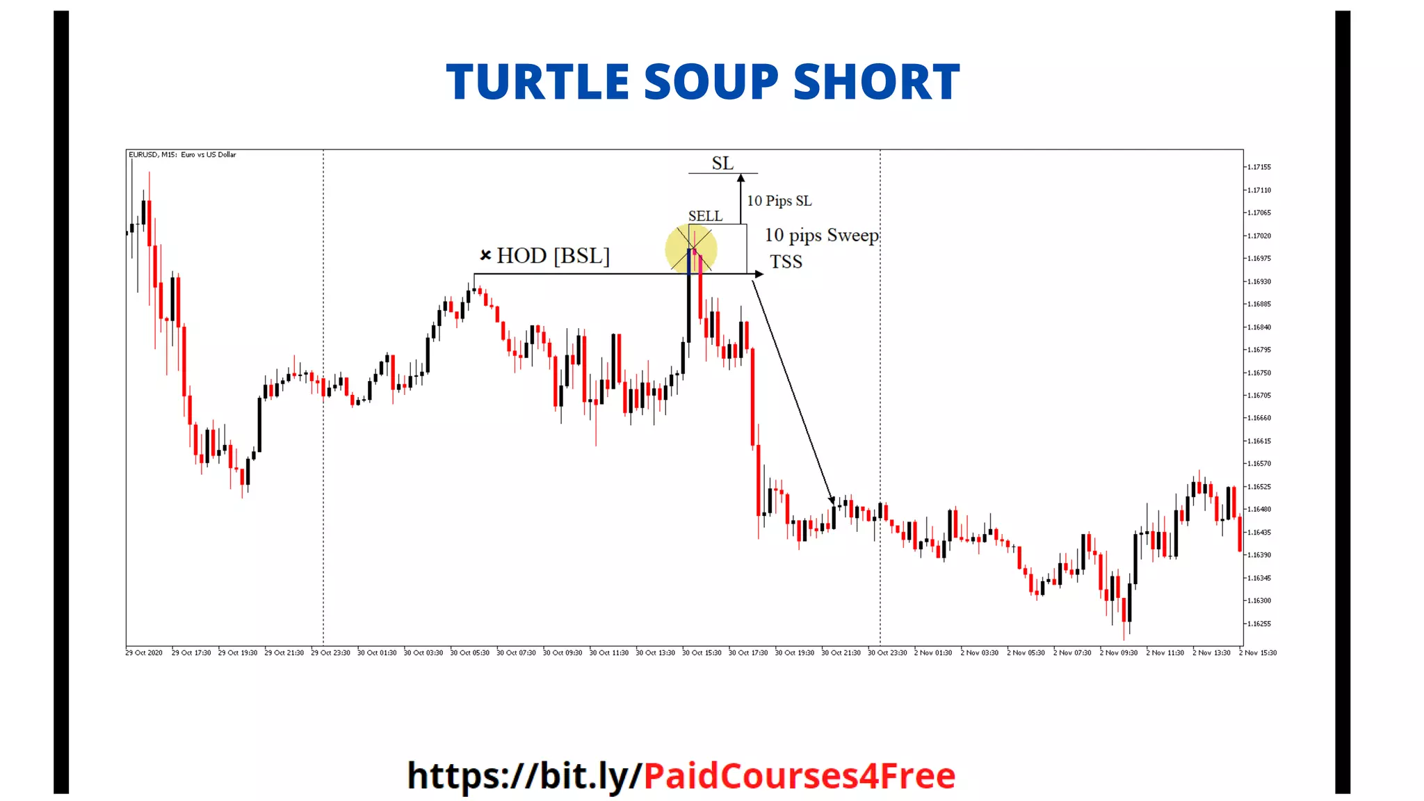 TURTLE SOUP SHORT
 