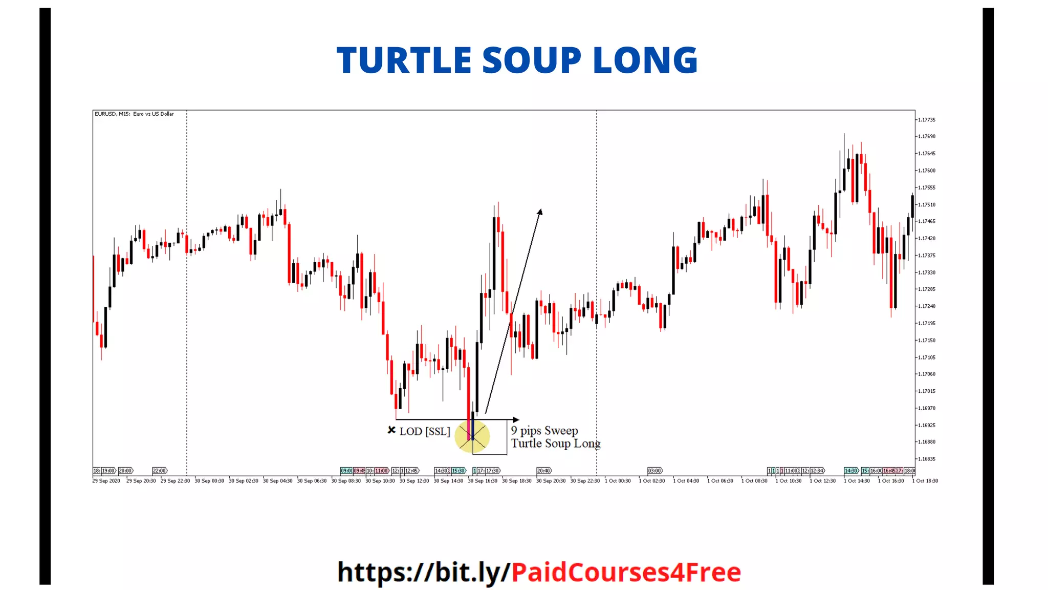 TURTLE SOUP LONG
 