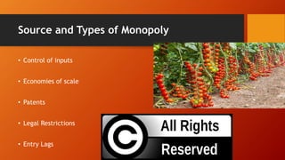 Source and Types of Monopoly
• Control of inputs
• Economies of scale
• Patents
• Legal Restrictions
• Entry Lags
 
