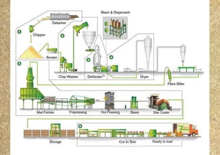 Timbe Process Production Digarm INDUSTRIAL WOODS/ TIMBERS - Market Survey | PDF
