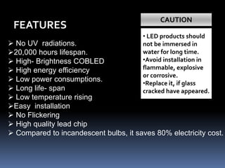 Market Survey Spotlights Pptx Home Garden