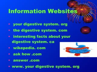 Mark hildebrandt the digestive system slides | PPT
