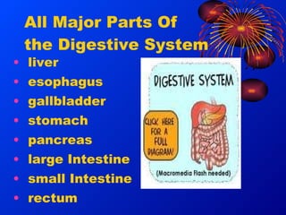 Mark hildebrandt the digestive system slides | PPT