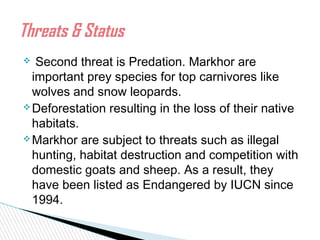  Second threat is Predation. Markhor are
important prey species for top carnivores like
wolves and snow leopards.
Deforestation resulting in the loss of their native
habitats.
Markhor are subject to threats such as illegal
hunting, habitat destruction and competition with
domestic goats and sheep. As a result, they
have been listed as Endangered by IUCN since
1994.
Threats & Status
 