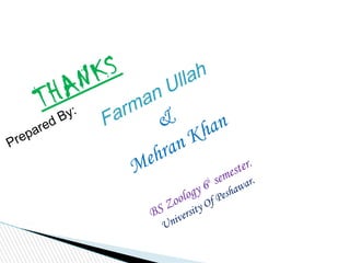 Prepared By:
Farman Ullah
&
Mehran Khan
BS Zoology 6th semester.
University Of Peshawar.
THANKS
 